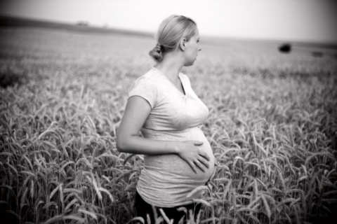 Kliknij na zdjęcie, żeby zobaczyć w pełnych wymiarach