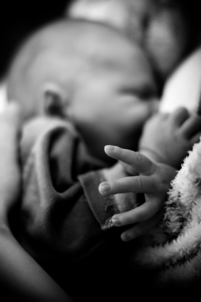 Kliknij na zdjęcie, żeby zobaczyć w pełnych wymiarach