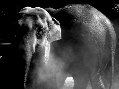 Kliknij na zdjęcie, żeby zobaczyć w pełnych wymiarach