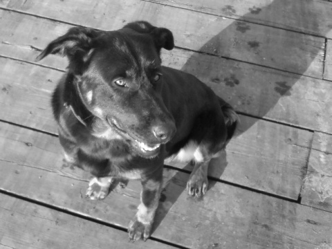 Kliknij na zdjęcie, żeby zobaczyć w pełnych wymiarach