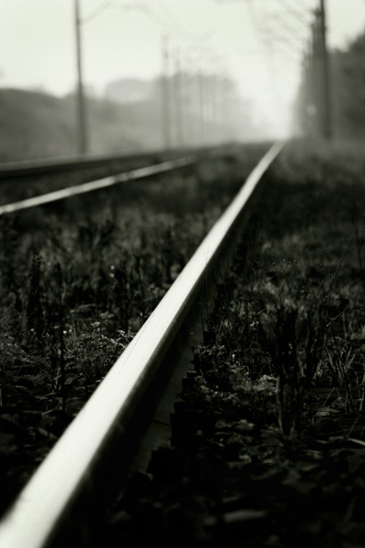 Kliknij na zdjęcie, żeby zobaczyć w pełnych wymiarach