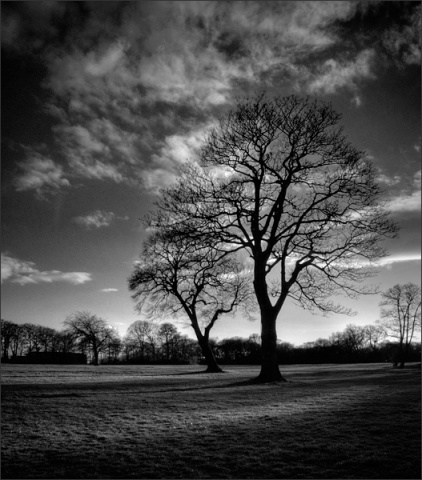 Kliknij na zdjęcie, żeby zobaczyć w pełnych wymiarach