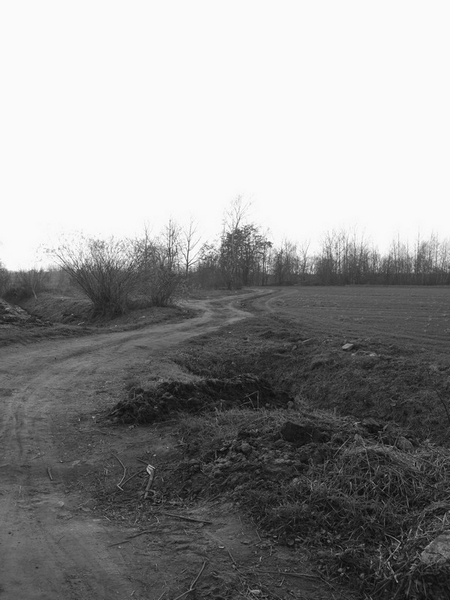 Kliknij na zdjęcie, żeby zobaczyć w pełnych wymiarach