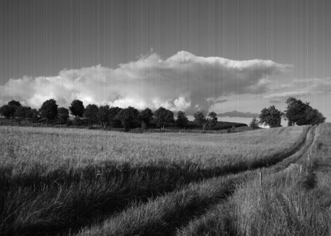 Kliknij na zdjęcie, żeby zobaczyć w pełnych wymiarach