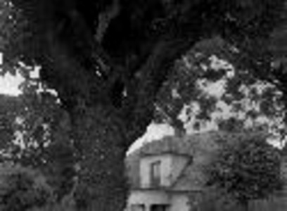 Kliknij na zdjęcie, żeby zobaczyć w pełnych wymiarach