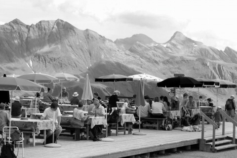 Kliknij na zdjęcie, żeby zobaczyć w pełnych wymiarach