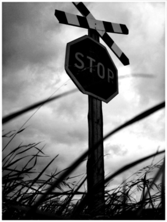 Kliknij na zdjęcie, żeby zobaczyć w pełnych wymiarach