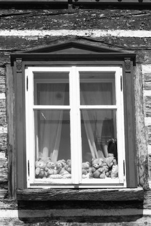 Kliknij na zdjęcie, żeby zobaczyć w pełnych wymiarach