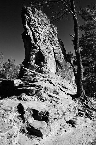 Kliknij na zdjęcie, żeby zobaczyć w pełnych wymiarach