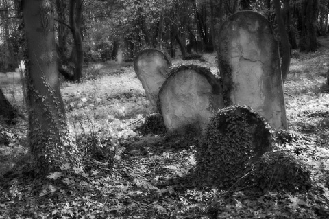 Kliknij na zdjęcie, żeby zobaczyć w pełnych wymiarach