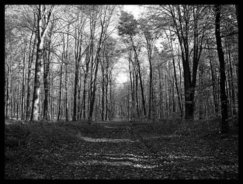 Kliknij na zdjęcie, żeby zobaczyć w pełnych wymiarach