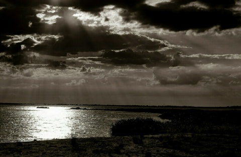 Kliknij na zdjęcie, żeby zobaczyć w pełnych wymiarach