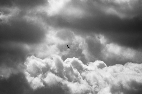 Kliknij na zdjęcie, żeby zobaczyć w pełnych wymiarach