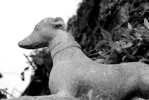 Kliknij na zdjęcie, żeby zobaczyć w pełnych wymiarach