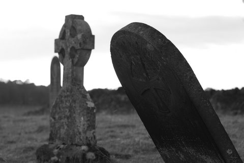 Kliknij na zdjęcie, żeby zobaczyć w pełnych wymiarach