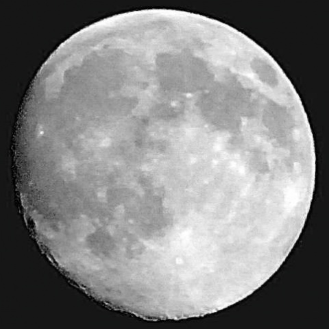 Kliknij na zdjęcie, żeby zobaczyć w pełnych wymiarach