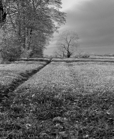 Kliknij na zdjęcie, żeby zobaczyć w pełnych wymiarach
