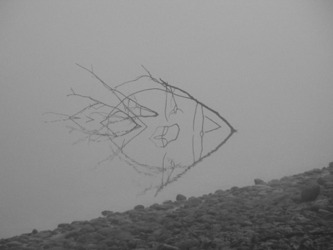 Kliknij na zdjęcie, żeby zobaczyć w pełnych wymiarach