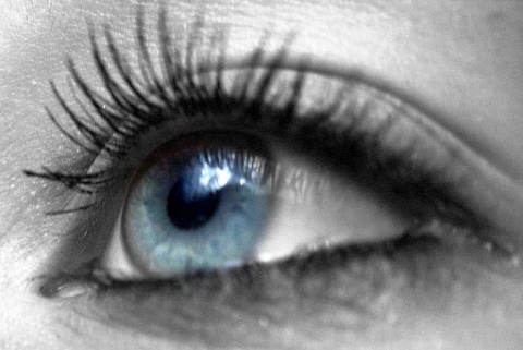 Kliknij na zdjęcie, żeby zobaczyć w pełnych wymiarach