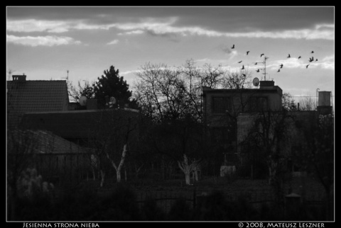 Kliknij na zdjęcie, żeby zobaczyć w pełnych wymiarach