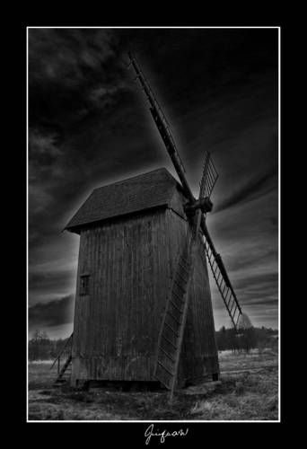 Kliknij na zdjęcie, żeby zobaczyć w pełnych wymiarach