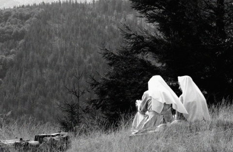 Kliknij na zdjęcie, żeby zobaczyć w pełnych wymiarach