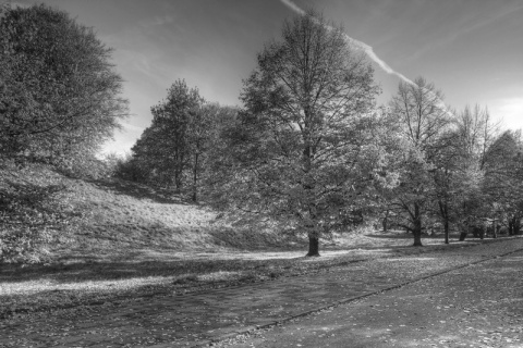 Kliknij na zdjęcie, żeby zobaczyć w pełnych wymiarach