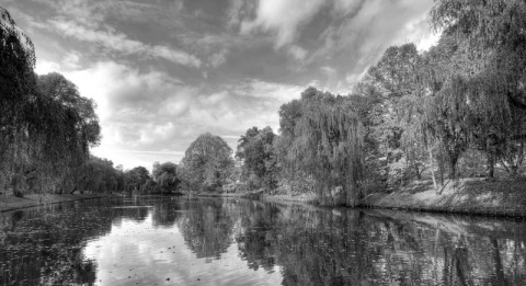 Kliknij na zdjęcie, żeby zobaczyć w pełnych wymiarach