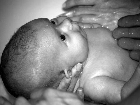 Kliknij na zdjęcie, żeby zobaczyć w pełnych wymiarach