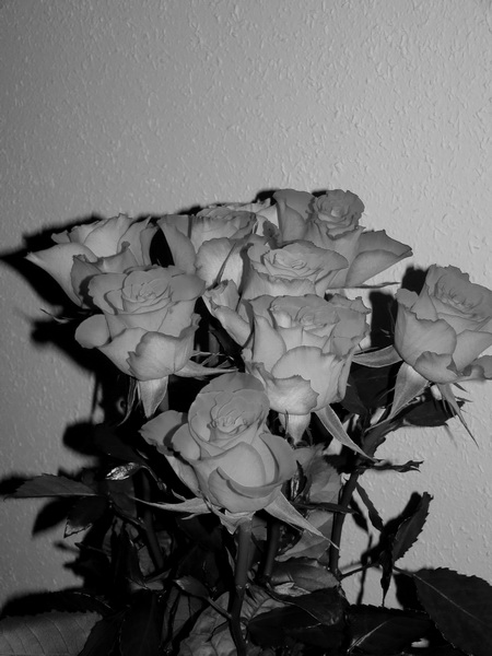 Kliknij na zdjęcie, żeby zobaczyć w pełnych wymiarach