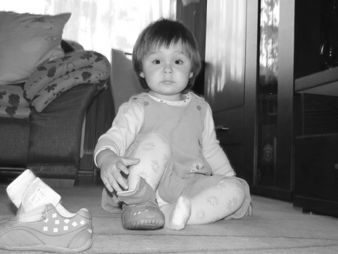 Kliknij na zdjęcie, żeby zobaczyć w pełnych wymiarach