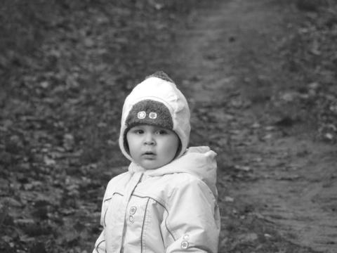 Kliknij na zdjęcie, żeby zobaczyć w pełnych wymiarach