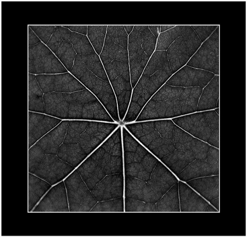 Kliknij na zdjęcie, żeby zobaczyć w pełnych wymiarach