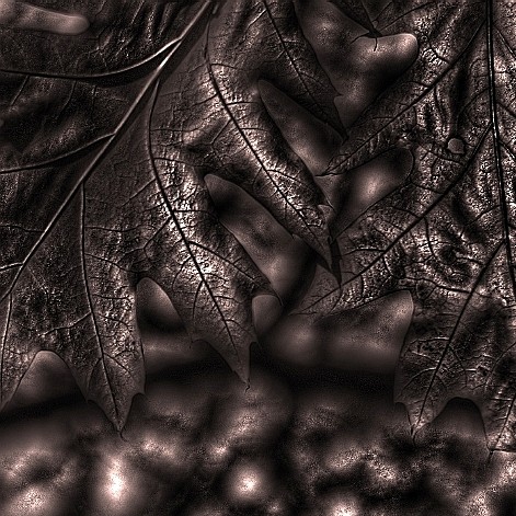 Kliknij na zdjęcie, żeby zobaczyć w pełnych wymiarach