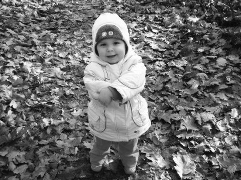 Kliknij na zdjęcie, żeby zobaczyć w pełnych wymiarach