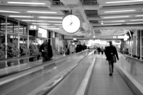 Kliknij na zdjęcie, żeby zobaczyć w pełnych wymiarach