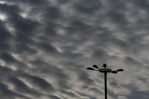 Kliknij na zdjęcie, żeby zobaczyć w pełnych wymiarach