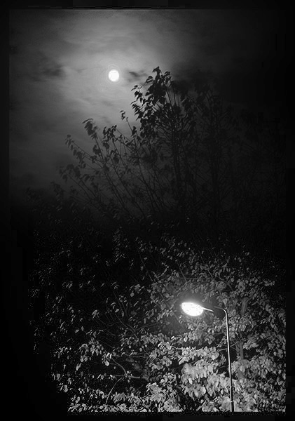 Kliknij na zdjęcie, żeby zobaczyć w pełnych wymiarach