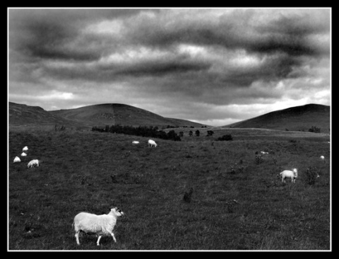 Kliknij na zdjęcie, żeby zobaczyć w pełnych wymiarach