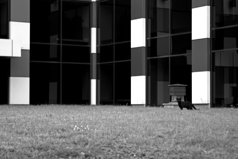 Kliknij na zdjęcie, żeby zobaczyć w pełnych wymiarach