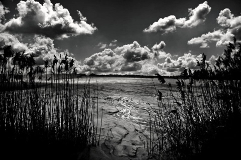 Kliknij na zdjęcie, żeby zobaczyć w pełnych wymiarach