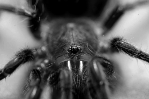 Kliknij na zdjęcie, żeby zobaczyć w pełnych wymiarach