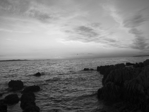 Kliknij na zdjęcie, żeby zobaczyć w pełnych wymiarach