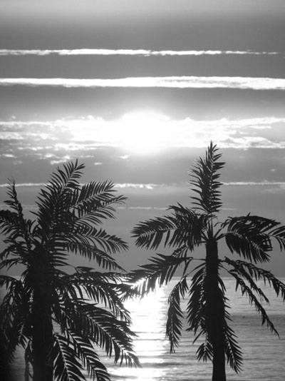 Kliknij na zdjęcie, żeby zobaczyć w pełnych wymiarach