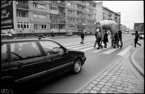 Kliknij na zdjęcie, żeby zobaczyć w pełnych wymiarach
