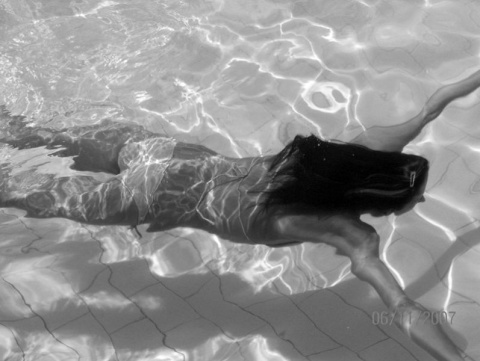 Kliknij na zdjęcie, żeby zobaczyć w pełnych wymiarach