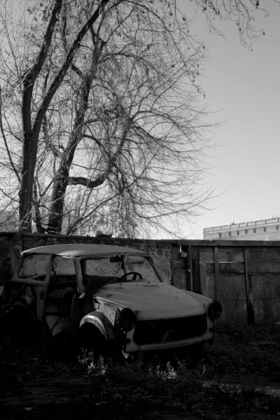 Kliknij na zdjęcie, żeby zobaczyć w pełnych wymiarach