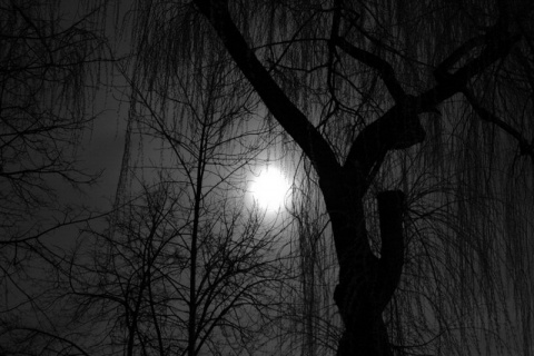 Kliknij na zdjęcie, żeby zobaczyć w pełnych wymiarach