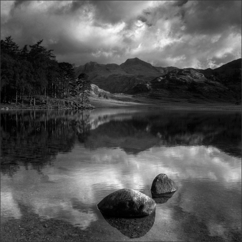 Kliknij na zdjęcie, żeby zobaczyć w pełnych wymiarach