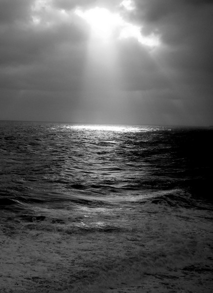 Kliknij na zdjęcie, żeby zobaczyć w pełnych wymiarach